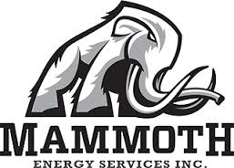 Mammoth Energy Services, Inc.