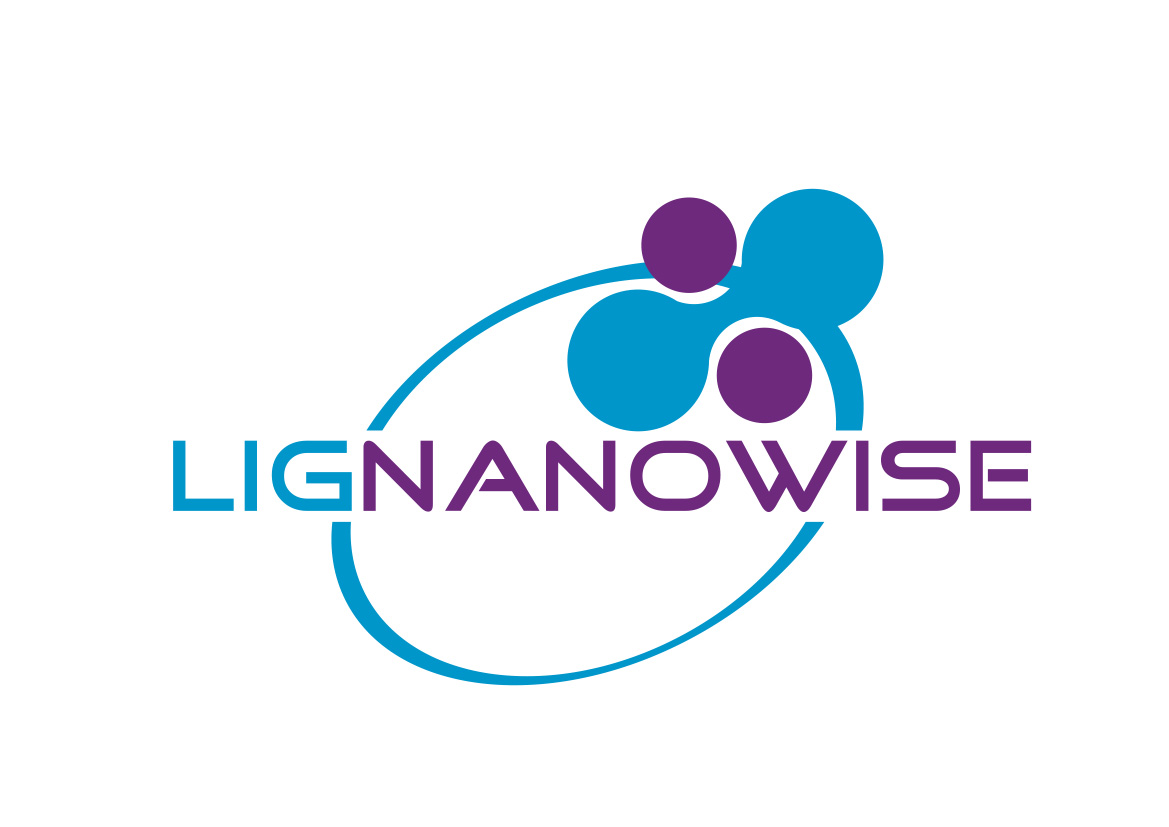 LIG-Nanowise