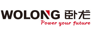 Wolong Electric Grp