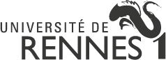 University Rennes
