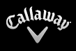 Topgolf Callaway Brands